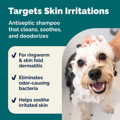 Étiquette Dermabliss chlorhexidine avec indications vétérinaires