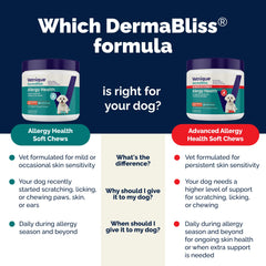 Vetnique DermaBliss – oméga-3 et ingrédients clés pour peau et gut.