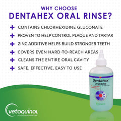 Vetoquinol Dentahex chat pulvérisation simple réduisant la plaque