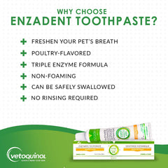 Chat utilisant Enzadent, dentifrice enzymatique au poulet.