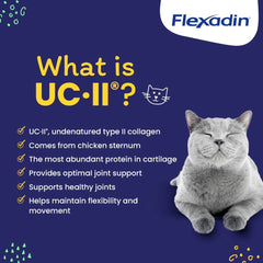 Formule vétérinaire-développée Flexadin Cat, approche professionnelle pour le bien-être.