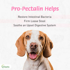 Chiens et chats utilisant Pro-Pectalin, format pâte pratique.