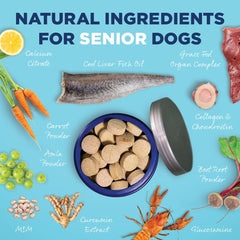 Enzyme digestive DigeSEB visibles dans Vetericyn All-in-1.