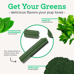 VetPro Complete: spiruline, chlorophylle et persil pour le soutien digestif et buccal.