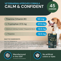 Chat détendu après VetriScience Calm & Confident dans le salon.