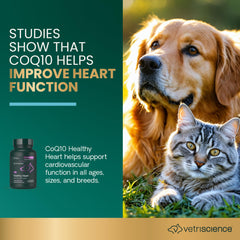 Dosage facile VetriScience Coenzyme Q10 pour chiens et chats, utile pour soutien cardio.