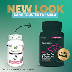 VetriScience: ingrédients digestifs ananas et papaye favorisant l'absorption des nutriments.