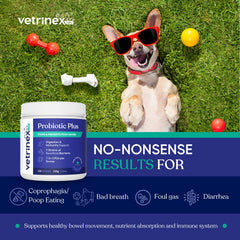 Vetrinex Labs Dose Cuillère Poudre: administration facile pour accompagner les repas