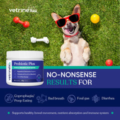 Vetrinex Labs Probiotique — poudre incolore prête à saupoudrer sur la nourriture.
