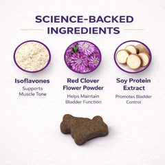 VetriScience Bladder Health, chien senior bénéficiant d'un soutien quotidien