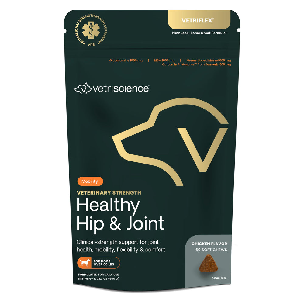 Gommes VetriScience hanches et mobilité pour chiens, soutien potentiel à la flexibilité.