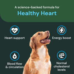 Gommes VetriScience pour chats: plaisir croquant et soutien cardio-potentiel.