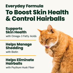 VetriScience Hairball Control – arôme appétissant pour favoriser l'appétit félin.