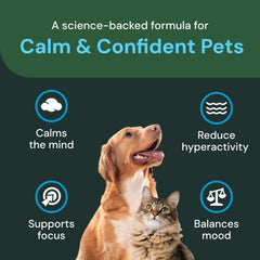 VetriScience ingrédients thiamine, soutien nerveux possible pour animaux