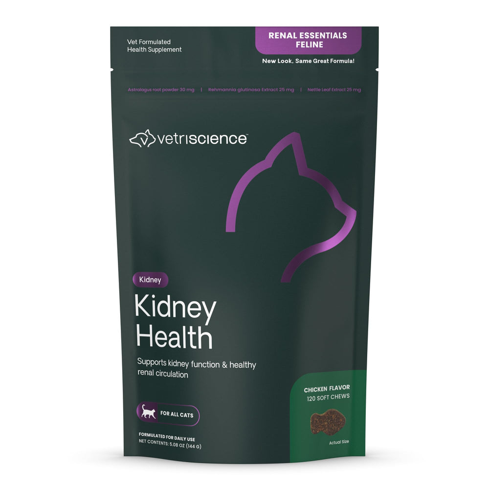 Gomme VetriScience Kidney Health en bouteille soutient potentiellement la fonction rénale chez les chats.