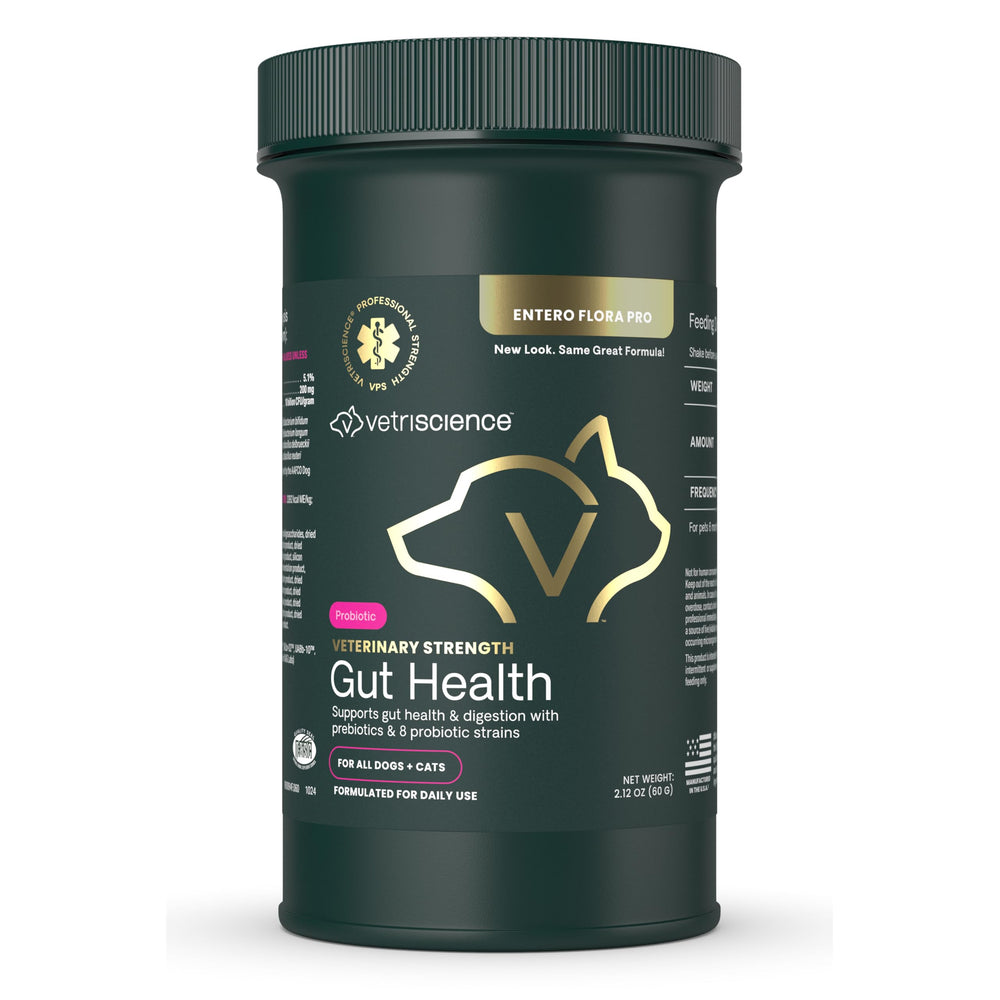 VETRISCIENCE Poudre santé digeste pour chiens et chats, dosage pratique.