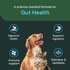Probiotique VetriScience pour chien et chat, favorise digestion et confort.