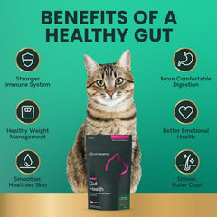 VetriScience Santé Intestinale prebiotiques-fos chat – stimule bonnes bactéries et régularité