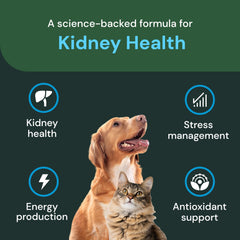 Utilisation quotidienne recommends chez chiens et chats avec VetriScience.