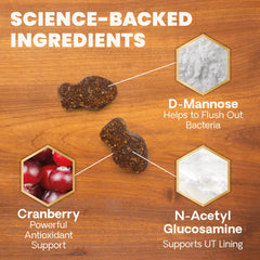 UT Health VetriScience N-acétyl glucosamine pour le revêtement de la vessie