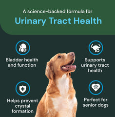 VetriScience UT Health Chews, ganedenbc30: probiotique inclus pour la santé générale.