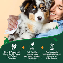 Vet's Best lingettes ventre et queue – accessoire pratique