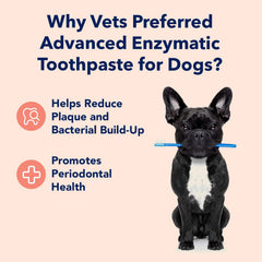 Propriétés antibactériennes du dentifrice canin Vets Preferred pour limiter tartre et plaque.