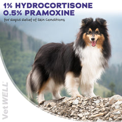VetWELL Hydrocortisone Spray sur zone irritée du chat – soulagement rapide.
