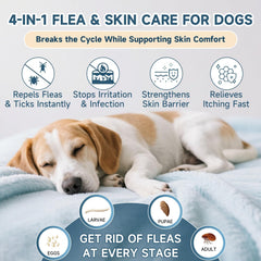VICSOM application simple sur la peau du chien.