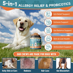 VICSOM-chien-probiotiques-digestion soutiennent l'équilibre intestinal naturel.