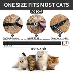 Ensemble de quatre colliers VICSOM pour chat, protection durable.