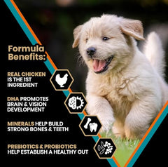 VICTOR Classic DHA pour chiot – développement cérébral et vision.