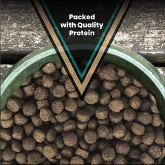VICTOR Hi-Pro Plus – détail des croquettes, texture croquante appréciée.