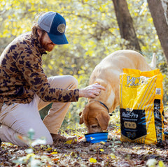 VICTOR Multi-Pro Sec: granulés sans gluten favorisant digestion et énergie durable.