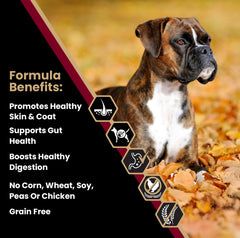 VICTOR sans gluten croquettes agneau patate douce pour chiens sensibles