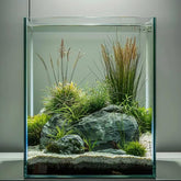 Vimvins bac à poissons en verre 5 galons: clair pour admirer poissons et plantes.