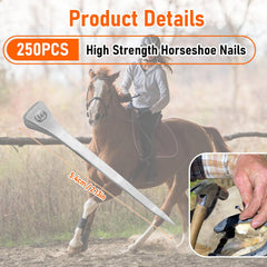 VINGVO acier inoxydable pour ferrure de chevaux, résistance durable.