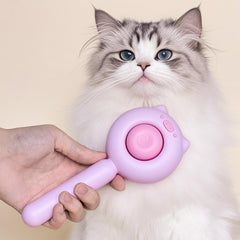 Brosse VIOJOJO pour chat à poils longs, démaillage efficace.
