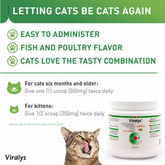 Dose quotidienne recommandée, L-Lysine pour chats et chatons.