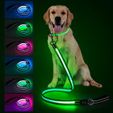 Laisse Visinite LED 4 pieds avec mode 7 pour une visibilité nocturne.
