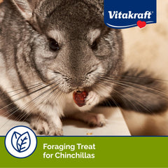 Vitakraft Cocktail Fruits Chinchilla Treat – cynorhodons, apport gustatif naturel pour varier les friandises.