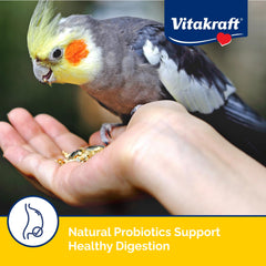 Vitakraft Menu cacatoes domestique: DHA et oméga pour plumage lumineux et soutien immunitaire.