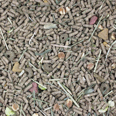 Mélange forage fruits-légumes pour stimulation et enrichissement.