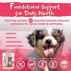 Vital Dog poudre saveur boeuf sur aliments humides, goût apprécié.