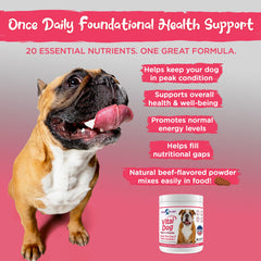 Vital Dog poudre saupoudrée sur nourriture sèche, repas simplifié.