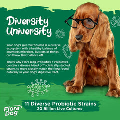 Vital Planet Flora Dog Probiotics : 11 souches canines pour équilibre intestinal