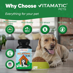 Vitamatic Melatonin chien – sommeil naturel potentiel chez les chiens