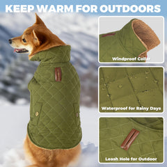 Manteau Vitiswap bleu marine pour chien, protection contre la pluie.