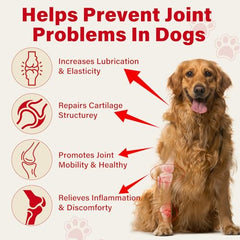VivaElixir magnesium huile ricin – soutien mobilité et muscles canins