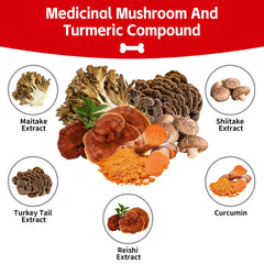 VivaElixir Poudre champignons, mélange idéal pour boisson chaude.